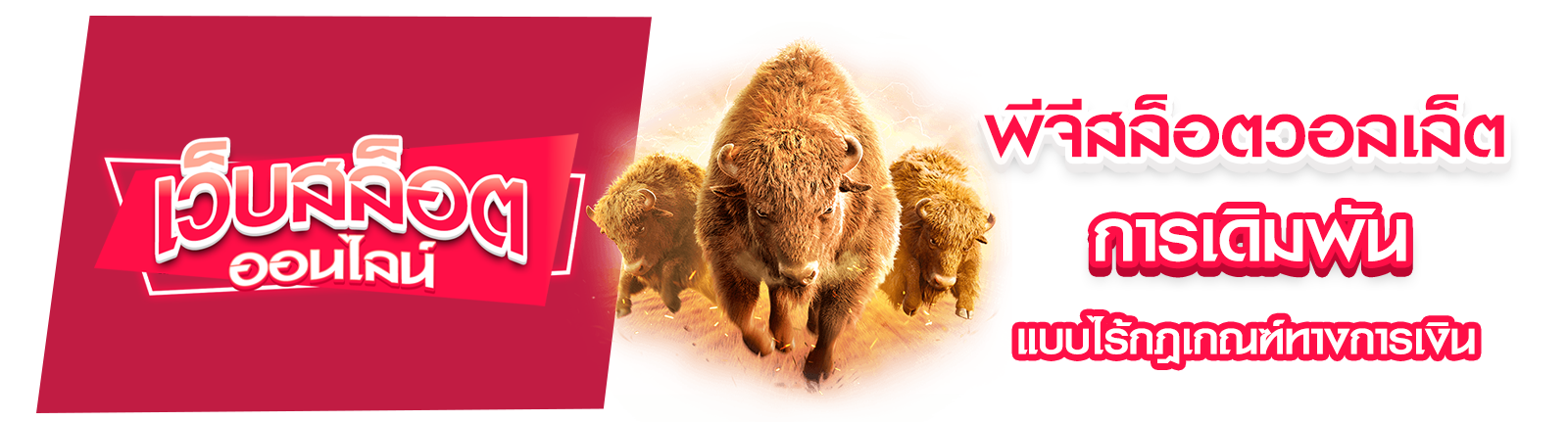 พีจีสล็อตวอลเล็ต