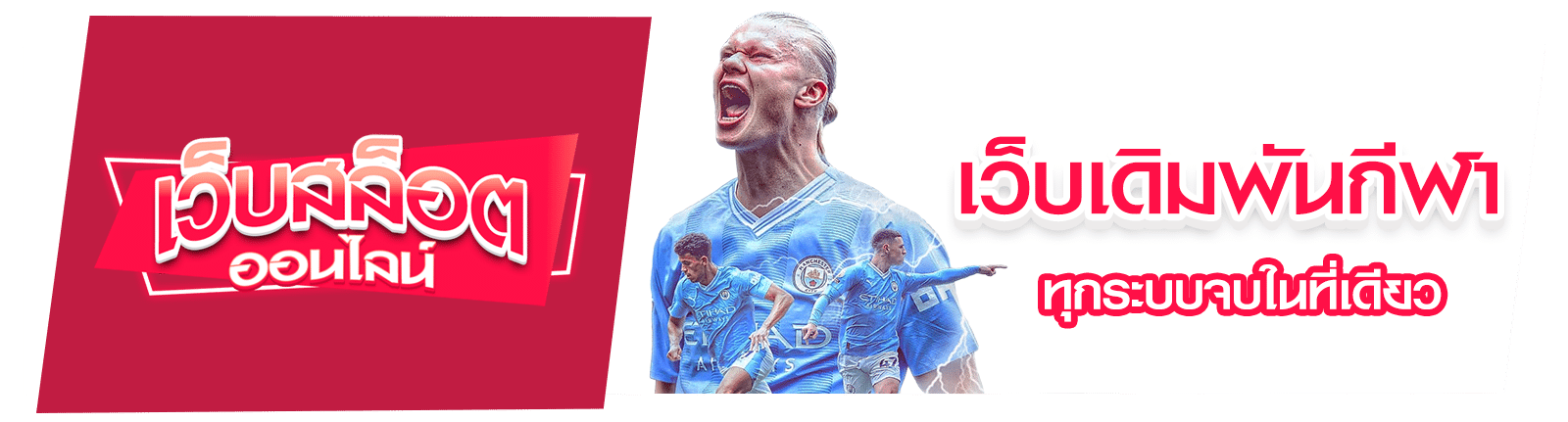 เว็บเดิมพันกีฬา