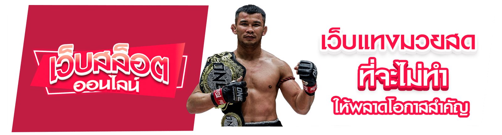 เว็บแทงมวยสด