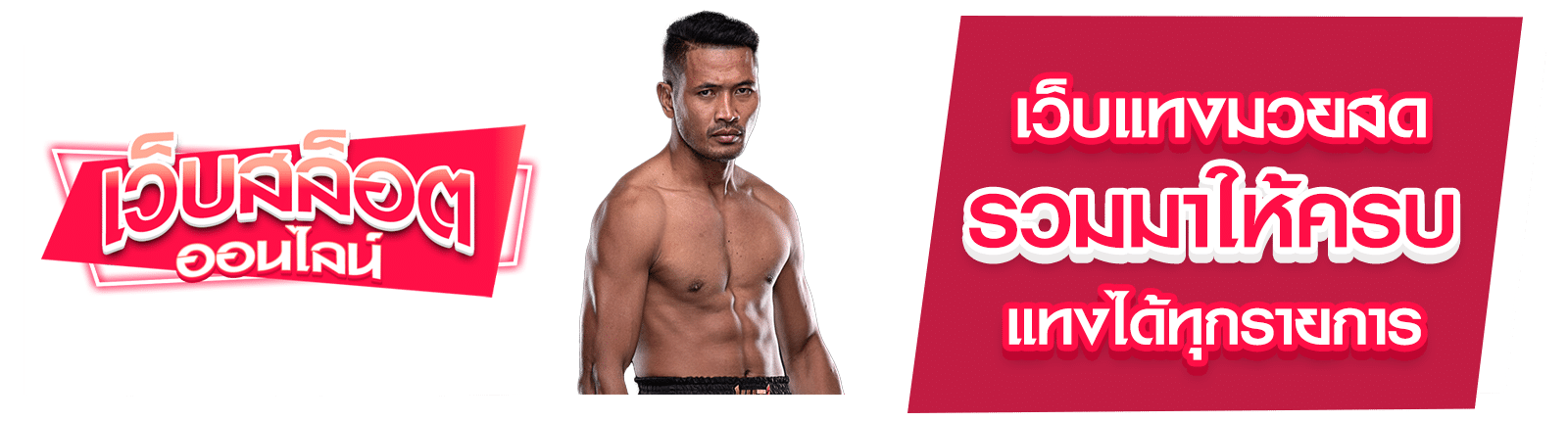 เว็บแทงมวยสด